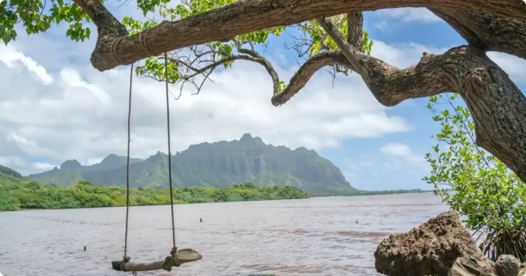 Aerial view of Hanalei Bay on Kauai's north shore with lush green mountains and turquoise water